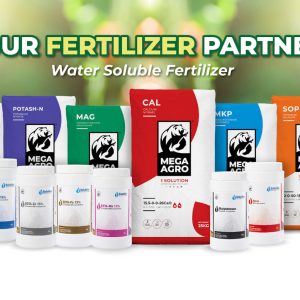 1-Solution Water Soluble Fertilizer